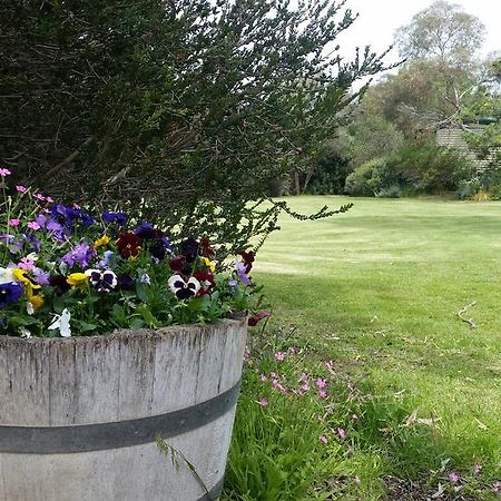 Padthaway Caravan Park Экстерьер фото
