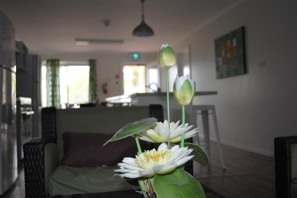 Padthaway Caravan Park Экстерьер фото